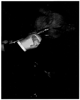 Files from Arvato V.