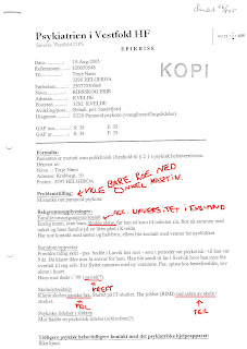 Noen få feil, som kan finnes på kun en side i journalen fra hun psykolog Silke. (In Norwegian).