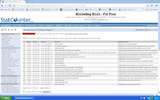 Mer StatCounter. (In Norwegian)