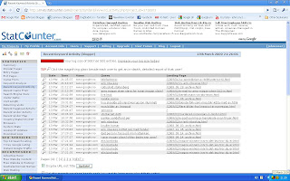 StatCounter: Han på Fornebu søker på ‘arne mogan olsen slave for runar mogan olsen?’, på Google. (In Norwegian)